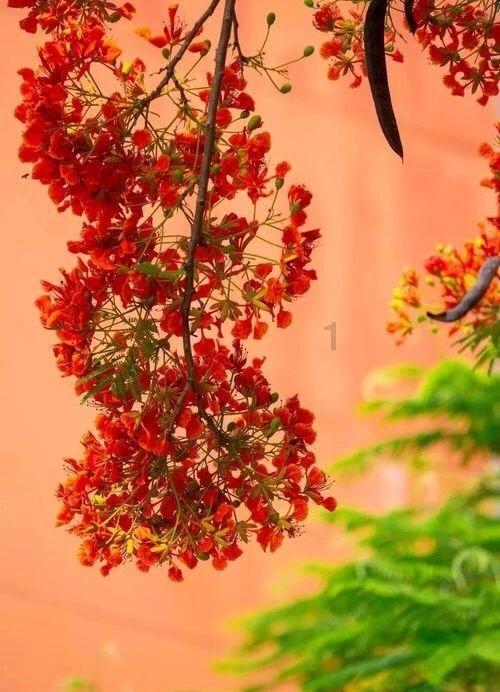 漫步太空